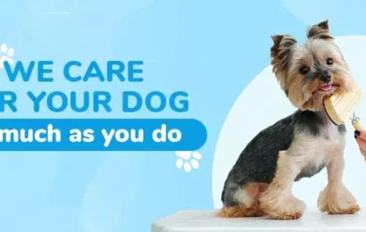 Dog-Boarding-in-Delhi Dog Boarding in Delhi