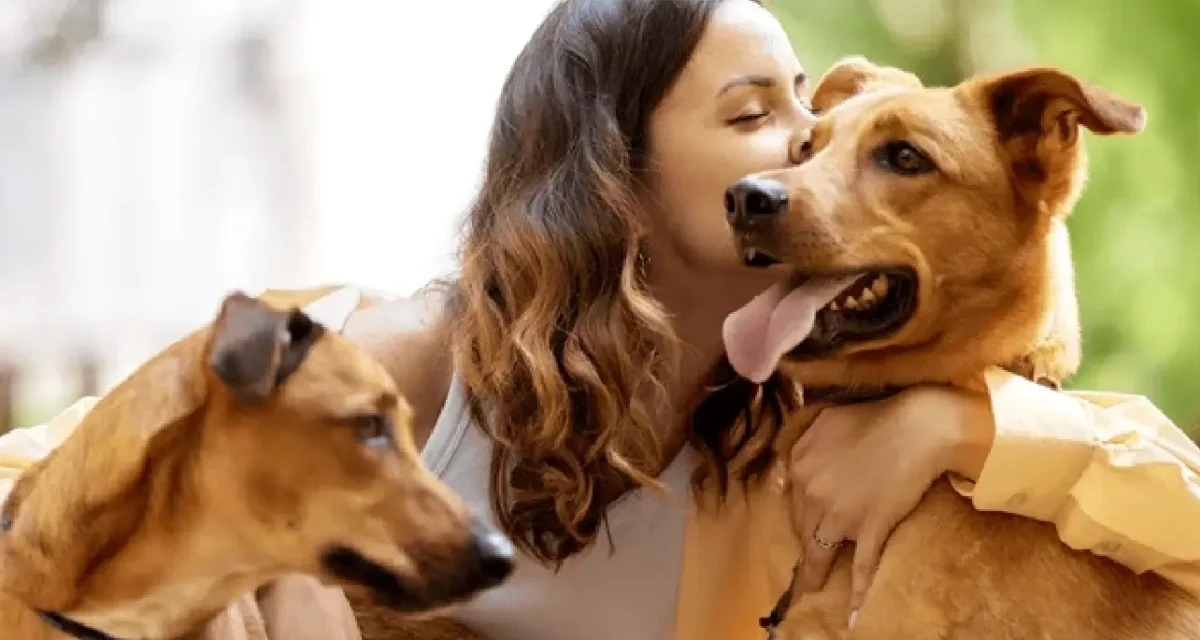 How to Choose the Right Dog Boarding Facility in Delhi Dog Boarding Facility in Delhi