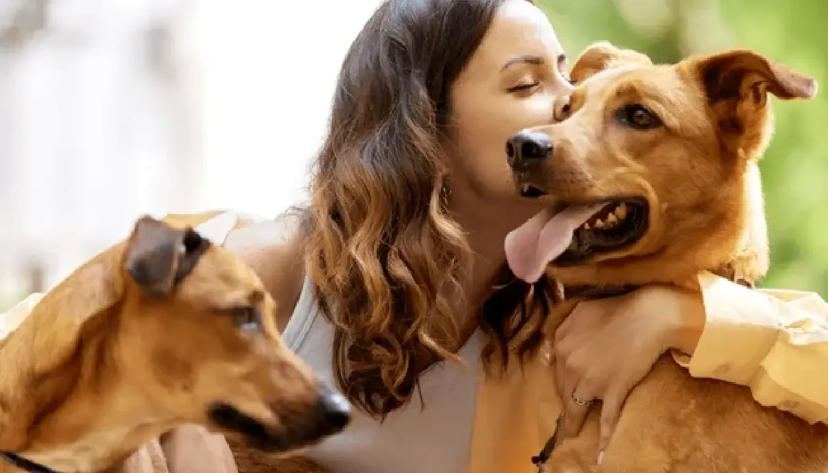 Dog Boarding Facility in Delhi
