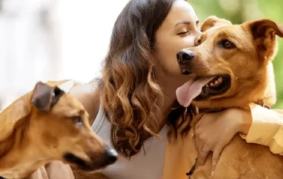 How to Choose the Right Dog Boarding Facility in Delhi Dog Boarding Facility in Delhi