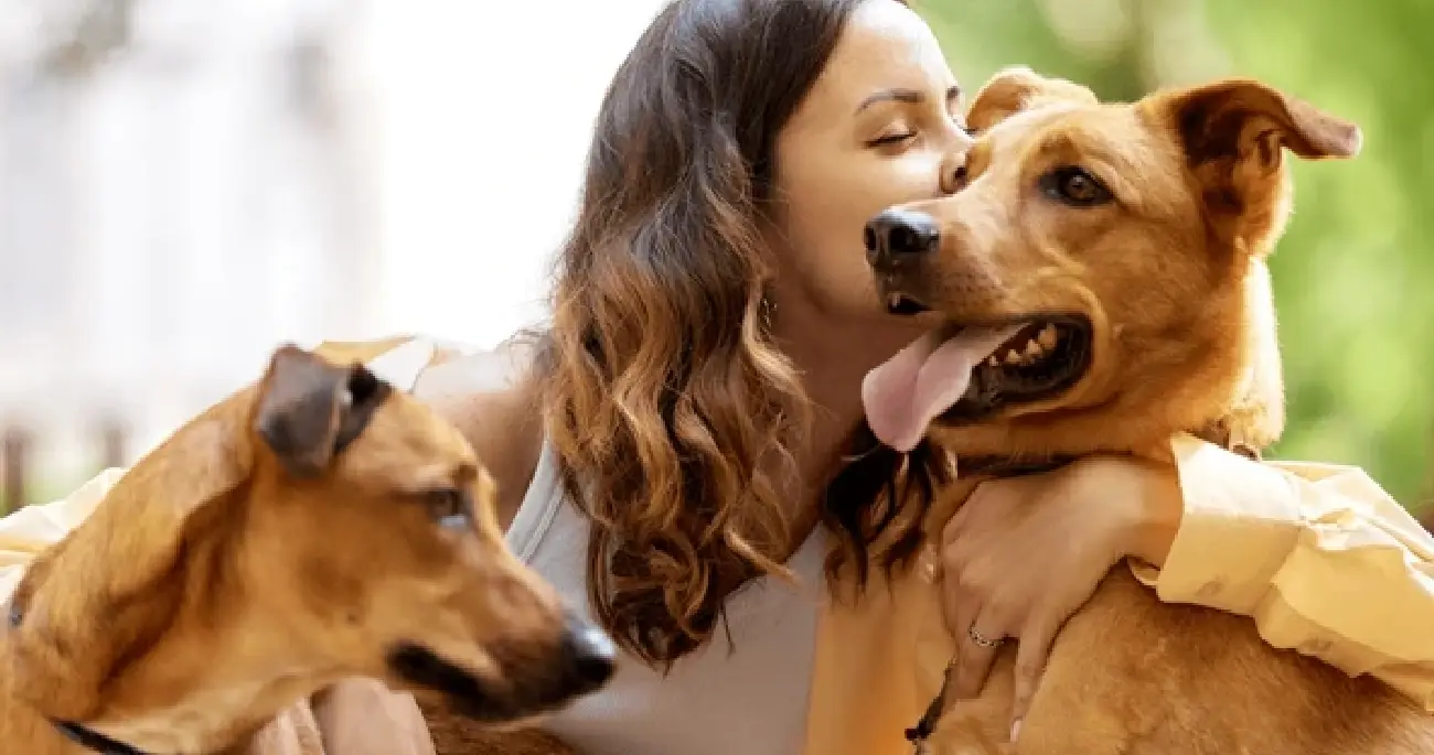 Dog Boarding Facility in Delhi