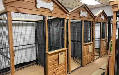 Pet-Boarding-near-me-delhi Pet Boarding near me delhi