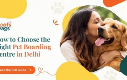 How to Choose the Right Pet Boarding Centre in Delhi Pet Boarding Centre in Delhi