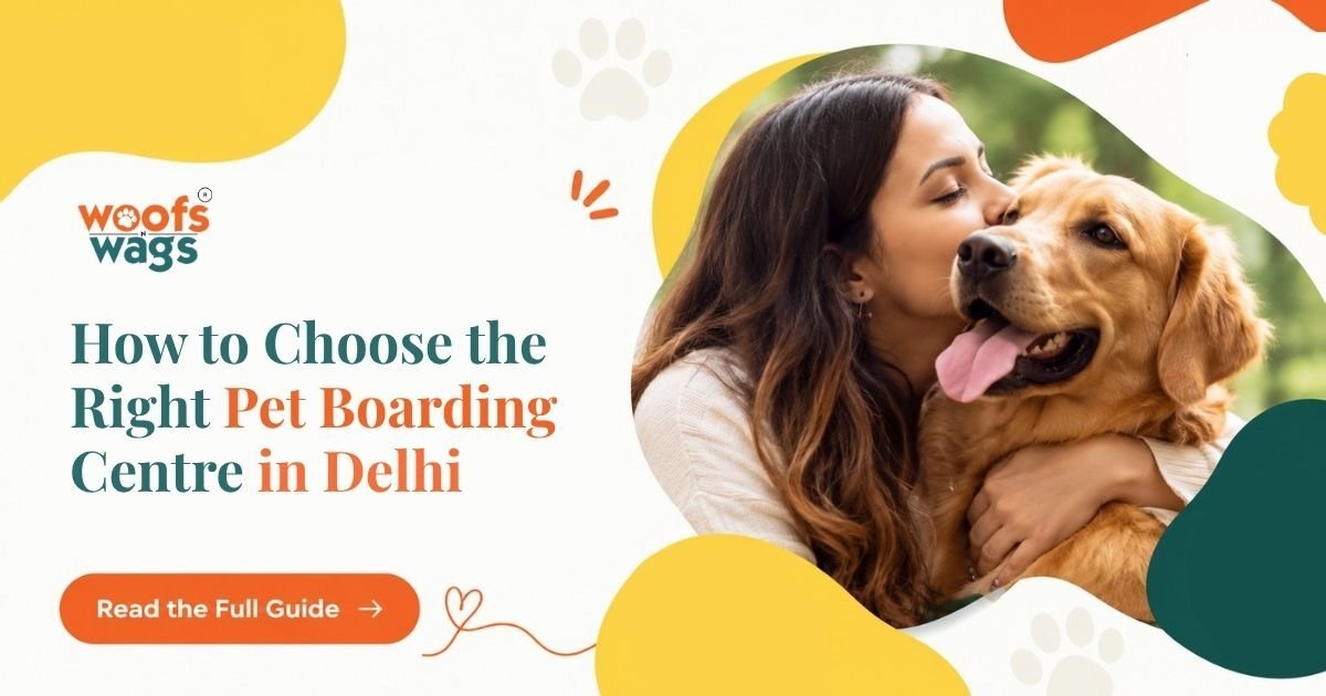 Pet Boarding Centre in Delhi