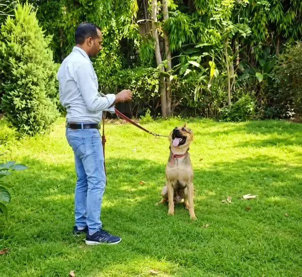 Best dog park in Delhi