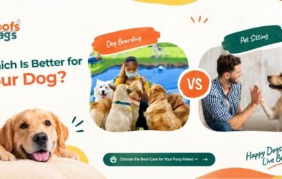 Dog Boarding vs Pet Sitting Which Is Better for Your Dog Dog Boarding Delhi