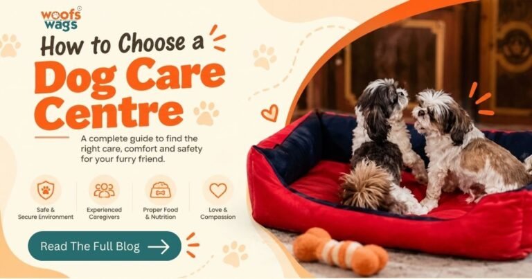 Dog Care Centre in Delhi
