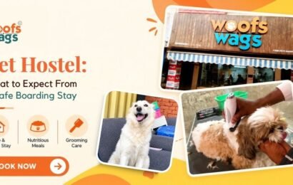 Pet Hostel in Delhi Pet-Hostel-in-Delhi