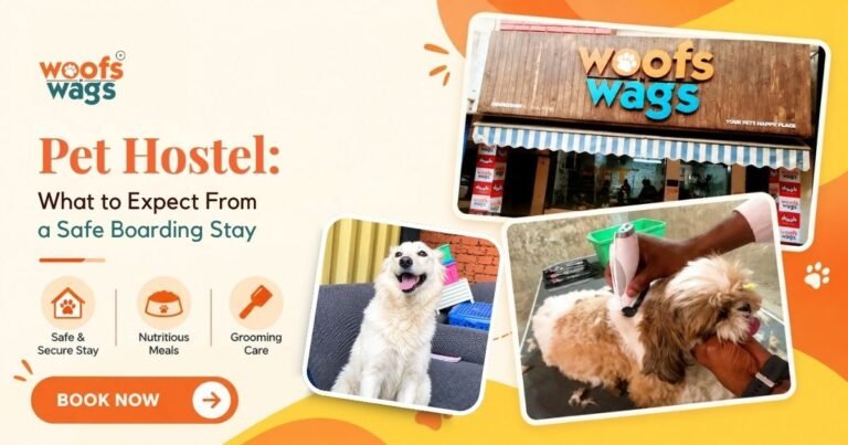 Pet-Hostel-in-Delhi