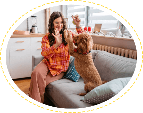 dog care center Delhi